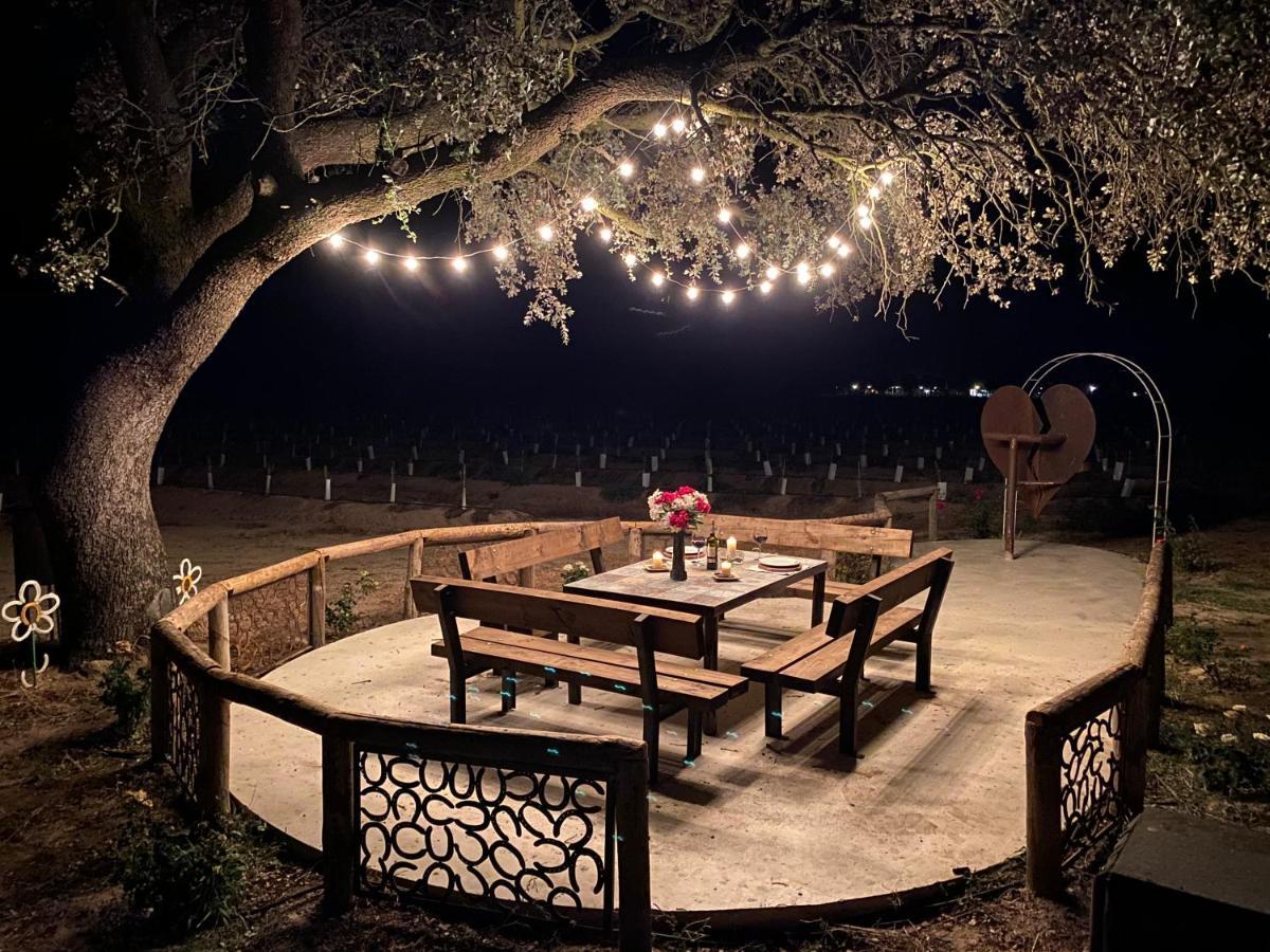 Finca Casaes Apartamentos Torralba de Oropesa Εξωτερικό φωτογραφία