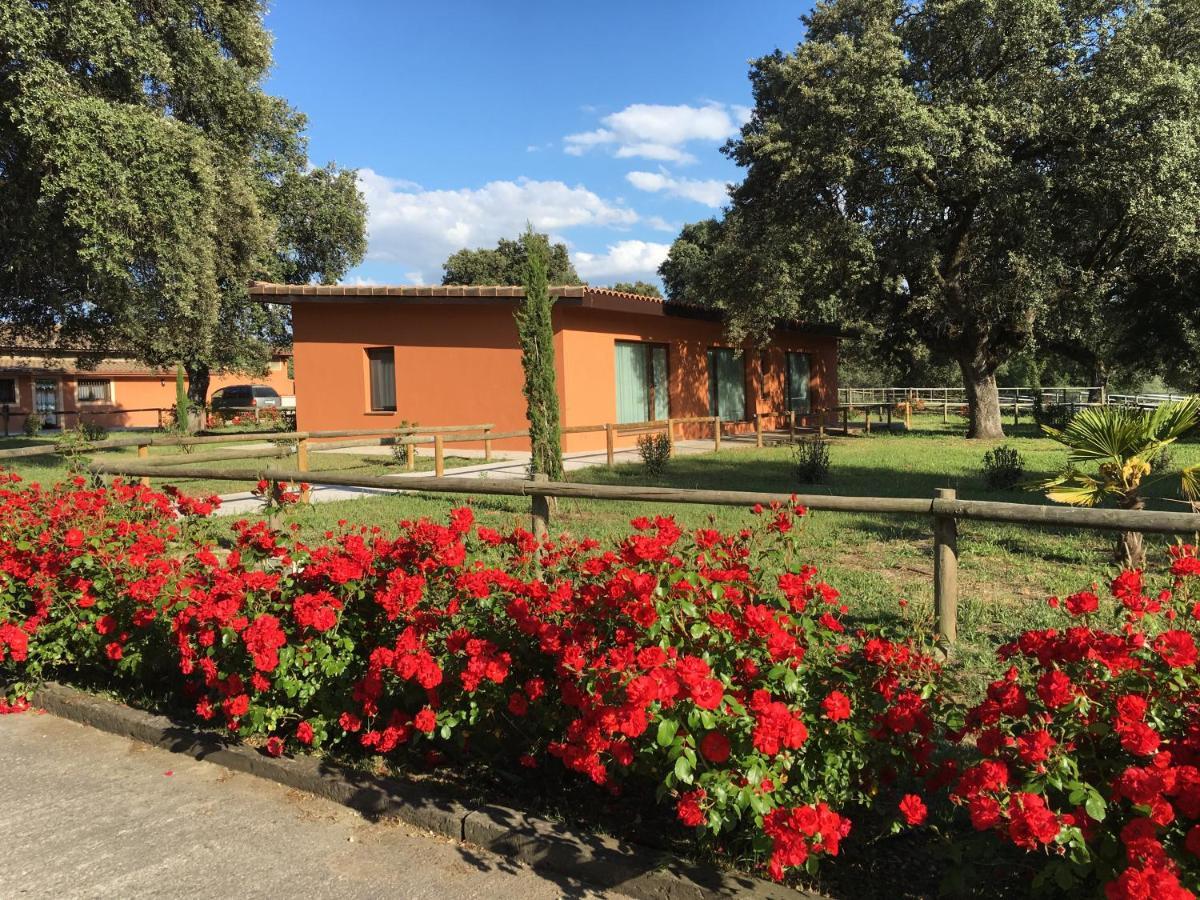 Finca Casaes Apartamentos Torralba de Oropesa Εξωτερικό φωτογραφία